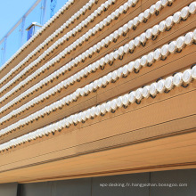 Composite de bois-plastique respectueux de l&#39;environnement Wpc Wall Siding